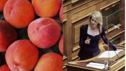 &Tau;&zeta;ά&kappa;&rho;&eta;: &Mu;&pi;&rho;&omicron;&sigmaf;-&pi;ί&sigma;&omega; &kappa;&alpha;&iota; &epsilon;&nu;&iota;&sigma;&chi;ύ&sigma;&epsilon;&iota;&sigmaf; de minimis &psi;ί&chi;&omicron;&upsilon;&lambda;&alpha; &sigma;&epsilon; &rho;&omicron;&delta;ά&kappa;&iota;&nu;&alpha; , &beta;&epsilon;&rho;ί&kappa;&omicron;&kappa;&alpha; &kappa;&alpha;&iota; &nu;&epsilon;&kappa;&tau;&alpha;&rho;ί&nu;&iota;&alpha; &alpha;&pi;ό &tau;&omicron; &Upsilon;&Pi;&Alpha;&Alpha;&amp;&Tau;