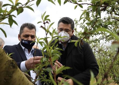 &Kappa;&alpha;&lambda;&alpha;ϊ&tau;&zeta;ί&delta;&eta;&sigmaf; &kappa;&alpha;&iota; &Tau;&zeta;&iota;&tau;&zeta;&iota;&kappa;ώ&sigma;&tau;&alpha;&sigmaf; &epsilon;&pi;&iota;&sigma;&kappa;έ&phi;&theta;&eta;&kappa;&alpha;&nu; &pi;&lambda;&eta;&gamma;&epsilon;ί&sigma;&epsilon;&sigmaf; &alpha;&pi;ό &tau;&omicron;&nu; &pi;&alpha;&gamma;&epsilon;&tau;ό &pi;&epsilon;&rho;&iota;&omicron;&chi;έ&sigmaf; &tau;&eta;&sigmaf; &Eta;&mu;&alpha;&theta;ί&alpha;&sigmaf;