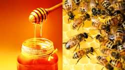 &Xi;έ&rho;&omicron;&upsilon;&mu;&epsilon; &tau;&iota; &epsilon;ί&delta;&omicron;&sigmaf; &mu;έ&lambda;&iota; &tau;&rho;ώ&mu;&epsilon;;