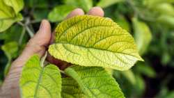 &Pi;&omega;&sigmaf; &nu;&alpha; &alpha;&nu;&alpha;&gamma;&nu;&omega;&rho;ί&sigma;&omicron;&upsilon;&mu;&epsilon; &sigma;&upsilon;&mu;&pi;&tau;ώ&mu;&alpha;&tau;&alpha; &tau;&rho;&omicron;&phi;&omicron;&pi;&epsilon;&nu;&iota;ώ&nu; &sigma;&tau;&iota;&sigmaf; &kappa;&alpha;&lambda;&lambda;&iota;έ&rho;&gamma;&epsilon;&iota;&epsilon;&sigmaf;