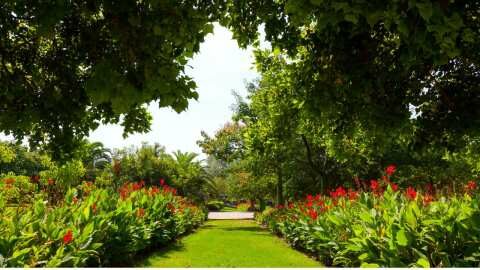 16 &delta;&rho;ά&sigma;&epsilon;&iota;&sigmaf; &pi;&rho;&omicron;&sigma;&tau;&alpha;&sigma;ί&alpha;&sigmaf; &kappa;&alpha;&iota; &alpha;&nu;ά&delta;&epsilon;&iota;&xi;&eta;&sigmaf; &tau;&omega;&nu; &pi;&epsilon;&rho;&iota;&omicron;&chi;ώ&nu; Natura &sigma;&tau;&eta; &Theta;&epsilon;&sigma;&sigma;&alpha;&lambda;ί&alpha;