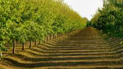 &Phi;&upsilon;&tau;&omicron;&pi;&rho;&omicron;&sigma;&tau;&alpha;&sigma;ί&alpha; &tau;&eta;&sigmaf; &alpha;&mu;&upsilon;&gamma;&delta;&alpha;&lambda;&iota;ά&sigmaf;: &Epsilon;&chi;&theta;&rho;&omicron;ί , &alpha;&sigma;&theta;έ&nu;&epsilon;&iota;&epsilon;&sigmaf; &kappa;&alpha;&iota; &alpha;&nu;&tau;&iota;&mu;&epsilon;&tau;ώ&pi;&iota;&sigma;&eta; &tau;&omicron;&upsilon;&sigmaf; | &Alpha;&gamma;&rho;&omicron;&tau;&iota;&kappa;ά &nu;έ&alpha; &kappa;&alpha;&iota; &epsilon;&iota;&delta;ή&sigma;&epsilon;&iota;&sigmaf; IMATHIOTIKIGI.GR