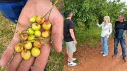 &Nu;&alpha; &xi;&epsilon;&kappa;&iota;&nu;ή&sigma;&omicron;&upsilon;&nu; ά&mu;&epsilon;&sigma;&alpha; &omicron;&iota; &epsilon;&xi;&alpha;&tau;&omicron;&mu;&iota;&kappa;&epsilon;&upsilon;&mu;έ&nu;&epsilon;&sigmaf; &epsilon;&kappa;&tau;&iota;&mu;ή&sigma;&epsilon;&iota;&sigmaf; &zeta;&eta;&tau;ά &mu;&epsilon; &epsilon;&rho;ώ&tau;&eta;&sigma;&eta; &tau;&eta;&sigmaf; &sigma;&tau;&eta; &beta;&omicron;&upsilon;&lambda;ή &eta; &Theta;&epsilon;&omicron;&delta;ώ&rho;&alpha; &Tau;&zeta;ά&kappa;&rho;&eta;