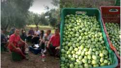 &Alpha;&nu;&alpha;&kappa;&omicron;ί&nu;&omega;&sigma;&eta; &Epsilon;&theta;&nu;&iota;&kappa;ή&sigmaf; &Delta;&Omicron;&Epsilon;&Pi;&Epsilon;&Lambda; &gamma;&iota;&alpha; &tau;&eta;&nu; έ&lambda;&lambda;&epsilon;&iota;&psi;&eta; &epsilon;&rho;&gamma;&alpha;&tau;ώ&nu; &gamma;&eta;&sigmaf;