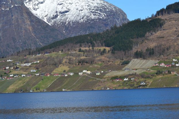 &Eta; &Eta;&mu;&alpha;&theta;&iota;ώ&tau;&iota;&kappa;&eta; &Gamma;&eta; "&tau;&alpha;&xi;&iota;&delta;&epsilon;ύ&epsilon;&iota;" &sigma;&tau;&omicron; &Mu;&pi;έ&rho;&gamma;&kappa;&epsilon;&nu; &tau;&eta;&sigmaf; &Nu;&omicron;&rho;&beta;&eta;&gamma;ί&alpha;&sigmaf; - &Tau;&iota; &mu;&alpha;&sigmaf; &epsilon;ί&pi;&alpha;&nu; έ&lambda;&lambda;&eta;&nu;&epsilon;&sigmaf; &tau;&eta;&sigmaf; &pi;&epsilon;&rho;&iota;&omicron;&chi;ή&sigmaf; &gamma;&iota;&alpha; &kappa;&alpha;&lambda;&lambda;&iota;έ&rho;&gamma;&epsilon;&iota;&epsilon;&sigmaf; &amp; lockdown (Photos)