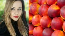 &Omicron; &alpha;&gamma;&rho;&omicron;&tau;&iota;&kappa;ό&sigmaf; &kappa;ό&sigma;&mu;&omicron;&sigmaf; &pi;&lambda;&eta;&rho;ώ&nu;&epsilon;&iota;, &alpha;&sigma;&tau;&omicron;&chi;ί&epsilon;&sigmaf; &tau;&eta;&sigmaf; &Kappa;&upsilon;&beta;έ&rho;&nu;&eta;&sigma;&eta;&sigmaf;