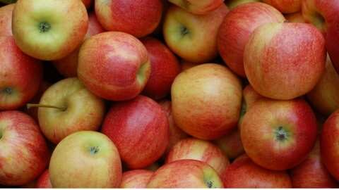 &Kappa;&omicron;&iota;&nu;&omicron;&pi;&rho;&alpha;&xi;ί&alpha; &Sigma;&upsilon;&nu;&epsilon;&tau;&alpha;&iota;&rho;&iota;&sigma;&mu;ώ&nu; &Eta;&mu;&alpha;&theta;ί&alpha;&sigmaf; &gamma;&iota;&alpha; &epsilon;&iota;&sigma;&omicron;&delta;&eta;&mu;&alpha;&tau;&iota;&kappa;ή &epsilon;&nu;ί&sigma;&chi;&upsilon;&sigma;&eta; &mu;&eta;&lambda;&omicron;&pi;&alpha;&rho;&alpha;&gamma;&omega;&gamma;ώ&nu; &Eta;&mu;&alpha;&theta;ί&alpha;&sigmaf;