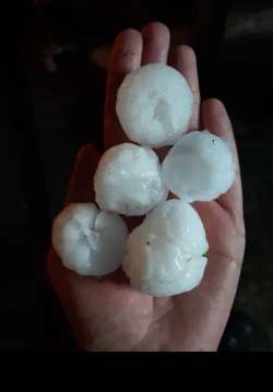 &Kappa;&alpha;&sigma;&tau;&omicron;&rho;&iota;ά: &Chi;&alpha;&lambda;ά&zeta;&iota; &sigma;&epsilon; &mu;έ&gamma;&epsilon;&theta;&omicron;&sigmaf; &alpha;&upsilon;&gamma;&omicron;ύ -&kappa;&alpha;&tau;&alpha;&sigma;&tau;&rho;&omicron;&phi;έ&sigmaf; &sigma;&epsilon; &mu;&eta;&lambda;&omicron;&kappa;&alpha;&lambda;&lambda;&iota;έ&rho;&gamma;&iota;&epsilon;&sigmaf; ,&upsilon;&lambda;&iota;&kappa;έ&sigmaf; &zeta;&eta;&mu;&iota;έ&sigmaf; &sigma;&epsilon; &omicron;&chi;ή&mu;&alpha;&tau;&alpha;, &tau;&rho;&alpha;&upsilon;&mu;&alpha;&tau;&iota;&sigma;&mu;&omicron;ί