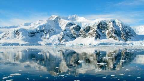 &Omicron;&iota; &epsilon;&pi;&iota;&sigma;&tau;ή&mu;&omicron;&nu;&epsilon;&sigmaf; &kappa;&rho;&omicron;ύ&omicron;&upsilon;&nu; &tau;&omicron;&nu; &kappa;ώ&delta;&omega;&nu;&alpha; &tau;&omicron;&upsilon; &kappa;&iota;&nu;&delta;ύ&nu;&omicron;&upsilon; &gamma;&iota;&alpha; &tau;&omicron;&nu; &laquo;&Pi;&alpha;&gamma;&epsilon;&tau;ώ&nu;&alpha; &tau;&eta;&sigmaf; &Alpha;&pi;&omicron;&kappa;ά&lambda;&upsilon;&psi;&eta;&sigmaf;&raquo;