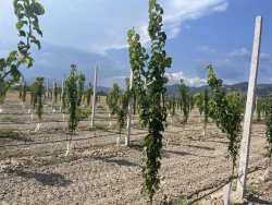 Έ&nu;&alpha;&sigmaf; &alpha;&kappa;ό&mu;&alpha; &pi;&alpha;&rho;&alpha;&gamma;&omega;&gamma;ό&sigmaf; &alpha;&pi;ό &Rho;&omicron;&delta;&iota;ά &Lambda;ά&rho;&iota;&sigma;&alpha;&sigmaf; &beta;&lambda;έ&pi;&epsilon;&iota; &epsilon;&nu;&tau;&upsilon;&pi;&omega;&sigma;&iota;&alpha;&kappa;ή &alpha;&nu;ά&pi;&tau;&upsilon;&xi;&eta;!