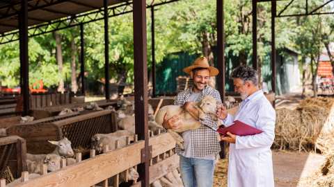 &Epsilon;&nu;ί&sigma;&chi;&upsilon;&sigma;&eta; &tau;&omicron;&upsilon; &kappa;&tau;&eta;&nu;&iota;&alpha;&tau;&rho;&iota;&kappa;&omicron;ύ &mu;&eta;&chi;&alpha;&nu;&iota;&sigma;&mu;&omicron;ύ &mu;&epsilon; 49 &pi;&rho;&omicron;&sigma;&lambda;ή&psi;&epsilon;&iota;&sigmaf; &gamma;&iota;&alpha; &tau;&eta;&nu; &alpha;&nu;&tau;&iota;&mu;&epsilon;&tau;ώ&pi;&iota;&sigma;&eta; &tau;&eta;&sigmaf; &epsilon;&upsilon;&lambda;&omicron;&gamma;&iota;ά&sigmaf; - &Omicron;&iota; &alpha;&iota;&tau;ή&sigma;&epsilon;&iota;&sigmaf; &xi;&epsilon;&kappa;&iota;&nu;&omicron;ύ&nu; &tau;&omicron; &Sigma;ά&beta;&beta;&alpha;&tau;&omicron; 7 &Mu;&alpha;&rho;&tau;ί&omicron;&upsilon;