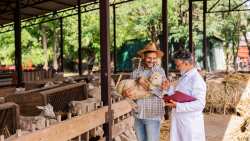 &Epsilon;&nu;ί&sigma;&chi;&upsilon;&sigma;&eta; &tau;&omicron;&upsilon; &kappa;&tau;&eta;&nu;&iota;&alpha;&tau;&rho;&iota;&kappa;&omicron;ύ &mu;&eta;&chi;&alpha;&nu;&iota;&sigma;&mu;&omicron;ύ &mu;&epsilon; 49 &pi;&rho;&omicron;&sigma;&lambda;ή&psi;&epsilon;&iota;&sigmaf; &gamma;&iota;&alpha; &tau;&eta;&nu; &alpha;&nu;&tau;&iota;&mu;&epsilon;&tau;ώ&pi;&iota;&sigma;&eta; &tau;&eta;&sigmaf; &epsilon;&upsilon;&lambda;&omicron;&gamma;&iota;ά&sigmaf; - &Omicron;&iota; &alpha;&iota;&tau;ή&sigma;&epsilon;&iota;&sigmaf; &xi;&epsilon;&kappa;&iota;&nu;&omicron;ύ&nu; &tau;&omicron; &Sigma;ά&beta;&beta;&alpha;&tau;&omicron; 7 &Mu;&alpha;&rho;&tau;ί&omicron;&upsilon;