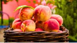 &Tau;&alpha; &rho;&omicron;&delta;ά&kappa;&iota;&nu;&alpha; έ&chi;&omicron;&upsilon;&nu; &pi;&epsilon;&rho;&iota;&sigma;&sigma;ό&tau;&epsilon;&rho;&alpha; &omicron;&phi;έ&lambda;&eta; &gamma;&iota;&alpha; &tau;&eta;&nu; &upsilon;&gamma;&epsilon;ί&alpha; &alpha;&pi;ό ό&sigma;&alpha; &phi;&alpha;&nu;&tau;ά&zeta;&epsilon;&sigma;&tau;&epsilon;