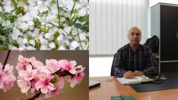 &Tau;έ&lambda;&omicron;&sigmaf; &sigma;&tau;&eta;&nu; &tau;&alpha;&lambda;&alpha;&iota;&pi;&omega;&rho;ί&alpha; &tau;&omega;&nu; &pi;&alpha;&rho;&alpha;&gamma;&omega;&gamma;ώ&nu;; &Tau;&alpha; &pi;&lambda;&epsilon;&omicron;&nu;&epsilon;&kappa;&tau;ή&mu;&alpha;&tau;&alpha; &tau;&eta;&sigmaf; &upsilon;&pi;&omicron;&beta;&omicron;&lambda;ή&sigmaf; &delta;&eta;&lambda;ώ&sigma;&epsilon;&omega;&nu; &zeta;&eta;&mu;&iota;ά&sigmaf; &sigma;&tau;&alpha; &Kappa;&Upsilon;&Delta;