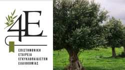 &Pi;&alpha;&gamma;&kappa;ό&sigma;&mu;&iota;&alpha; &Eta;&mu;έ&rho;&alpha; &Epsilon;&lambda;&alpha;&iota;&omicron;&kappa;&omicron;&mu;ί&alpha;&sigmaf;