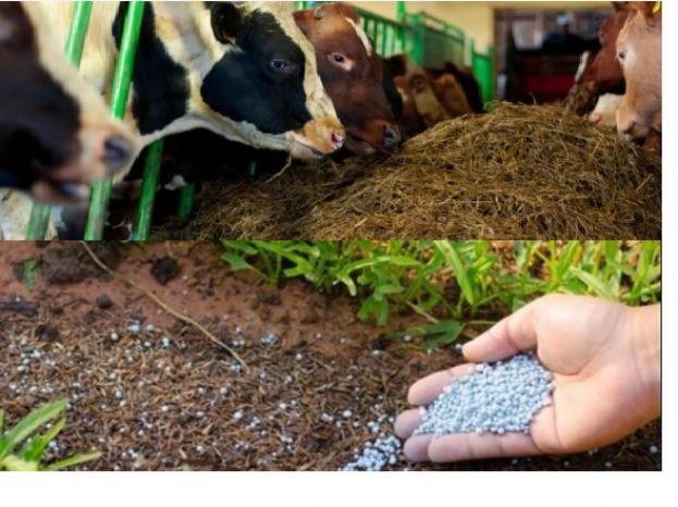 &Tau;&eta;&nu; &epsilon;&pi;ί&lambda;&upsilon;&sigma;&eta; &sigma;&tau;&omicron; &theta;έ&mu;&alpha; &tau;&eta;&sigmaf; &alpha;ύ&xi;&eta;&sigma;&eta;&sigmaf; &tau;&omega;&nu; &tau;&iota;&mu;ώ&nu; &lambda;&iota;&pi;&alpha;&sigma;&mu;ά&tau;&omega;&nu; &kappa;&alpha;&iota; &zeta;&omega;&omicron;&tau;&rho;&omicron;&phi;ώ&nu; &alpha;&nu;&alpha;&zeta;&eta;&tau;&epsilon;ί &tau;&omicron; &Upsilon;&Pi;&Alpha;&Alpha;&Tau;