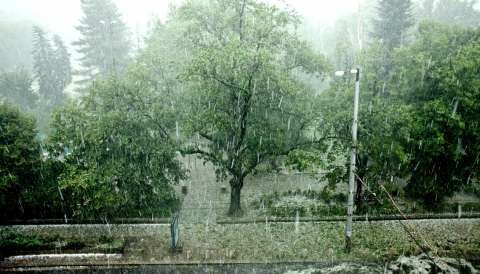 Έ&kappa;&tau;&alpha;&kappa;&tau;&omicron; &delta;&epsilon;&lambda;&tau;ί&omicron; &epsilon;&pi;&iota;&delta;&epsilon;ί&nu;&omega;&sigma;&eta;&sigmaf; &tau;&omicron;&upsilon; &kappa;&alpha;&iota;&rho;&omicron;ύ - &Pi;&omicron;&iota;&epsilon;&sigmaf; &pi;&epsilon;&rho;&iota;&omicron;&chi;έ&sigmaf; &theta;&alpha; &epsilon;&pi;&eta;&rho;&epsilon;&alpha;&sigma;&tau;&omicron;ύ&nu; &alpha;&pi;ό &tau;&eta;&nu; &kappa;&alpha;&kappa;&omicron;&kappa;&alpha;&iota;&rho;ί&alpha;