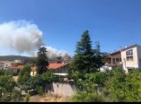 &Tau;&omicron; &pi;ύ&rho;&iota;&nu;&omicron; &mu;έ&tau;&omega;&pi;&omicron; &sigma;&tau;&alpha; &Beta;ί&lambda;&iota;&alpha; &sigma;&alpha;&rho;ώ&nu;&epsilon;&iota; &tau;&alpha; &pi;ά&nu;&tau;&alpha; - &Kappa;&iota;&nu;&delta;&upsilon;&nu;&epsilon;ύ&epsilon;&iota; &kappa;&alpha;&iota; &pi;ά&lambda;&iota; &tau;&omicron; &chi;&omega;&rho;&iota;ό