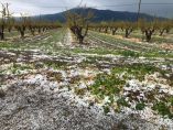 &Alpha;&upsilon;&tau;&omicron;&psi;ί&alpha; &Lambda;ά&kappa;&eta; &Beta;&alpha;&sigma;&iota;&lambda;&epsilon;&iota;ά&delta;&eta; &mu;&epsilon; &tau;&omicron;&nu; &Alpha;&pi;ό&sigma;&tau;&omicron;&lambda;&omicron; &Tau;&zeta;&iota;&tau;&zeta;&iota;&kappa;ώ&sigma;&tau;&alpha; &kappa;&alpha;&iota; &epsilon;&pi;&iota;&kappa;&omicron;&iota;&nu;&omega;&nu;ί&alpha; &mu;&epsilon; &tau;&omicron;&nu; &Pi;&rho;ό&epsilon;&delta;&rho;&omicron; &tau;&omicron;&upsilon; &Epsilon;&Lambda;&Gamma;&Alpha; &gamma;&iota;&alpha; &tau;&eta; &chi;&alpha;&lambda;&alpha;&zeta;ό&pi;&tau;&omega;&sigma;&eta;