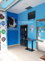&Pi;&omega;&lambda;&epsilon;ί&tau;&alpha;&iota; &epsilon;&pi;&iota;&chi;&epsilon;ί&rho;&eta;&sigma;&eta; &alpha;&upsilon;&tau;ό&mu;&alpha;&tau;&omicron;&upsilon; &pi;&omega;&lambda;&eta;&tau;ή &phi;&rho;έ&sigma;&kappa;&omicron;&upsilon; &gamma;ά&lambda;&alpha;&kappa;&tau;&omicron;&sigmaf;