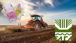 &Alpha;&pi;ό&phi;&alpha;&sigma;&eta; &Epsilon;&Lambda;&Gamma;&Alpha; &Delta;&Kappa;&Epsilon; 2024 - &Epsilon;&nu;&eta;&mu;έ&rho;&omega;&sigma;&eta; &gamma;&iota;&alpha; &tau;&eta;&nu; &kappa;&alpha;&tau;&alpha;&beta;&omicron;&lambda;ή &tau;&eta;&sigmaf; &Epsilon;&iota;&delta;&iota;&kappa;ή&sigmaf; &Alpha;&sigma;&phi;&alpha;&lambda;&iota;&sigma;&tau;&iota;&kappa;ή&sigmaf; &Epsilon;&iota;&sigma;&phi;&omicron;&rho;ά&sigmaf;