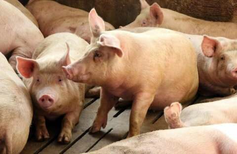 &Alpha;&nu;&alpha;&kappa;&omicron;ί&nu;&omega;&sigma;&eta; &Delta;ή&mu;&omicron;&upsilon; &Beta;έ&rho;&omicron;&iota;&alpha;&sigmaf; &sigma;&chi;&epsilon;&tau;&iota;&kappa;ά &mu;&epsilon; &tau;&eta; &laquo;&Delta;&Iota;&Alpha;&Chi;&Epsilon;&Iota;&Rho;&Iota;&Sigma;&Eta; &Zeta;&Omega;Ϊ&Kappa;&Omega;&Nu; &Upsilon;&Pi;&Omicron;&Pi;&Rho;&Omicron;Ϊ&Omicron;&Nu;&Tau;&Omega;&Nu;&raquo;