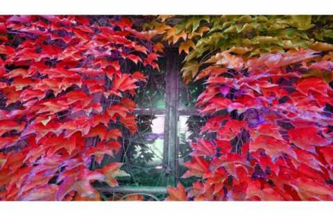 &Pi;&alpha;&rho;ά&theta;&upsilon;&rho;&omicron; &sigma;&tau;&omicron;&nu; &kappa;ό&sigma;&mu;&omicron;: &Tau;&epsilon;ύ&chi;&omicron;&sigmaf; &Omicron;&kappa;&tau;&omega;&beta;&rho;ί&omicron;&upsilon;