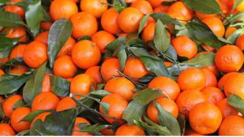 &Gamma;&iota;&alpha;&tau;ί &tau;&alpha; &mu;&alpha;&nu;&tau;&alpha;&rho;ί&nu;&iota;&alpha; &theta;&epsilon;&omega;&rho;&omicron;ύ&nu;&tau;&alpha;&iota; &omega;&sigmaf; &phi;&rho;&omicron;ύ&tau;&alpha; &tau;&eta;&sigmaf; &mu;&alpha;&kappa;&rho;&omicron;&zeta;&omega;ί&alpha;&sigmaf;!