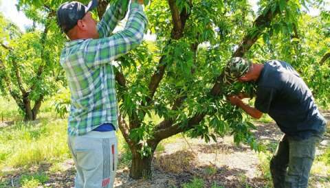 &Alpha;&rho;&alpha;&chi;&omega;&beta;ί&tau;&eta;&sigmaf;: &ldquo;&Eta; &Kappa;&upsilon;&beta;έ&rho;&nu;&eta;&sigma;&eta; &tau;&eta;&sigmaf; &Nu;&Delta; &epsilon;&upsilon;&theta;ύ&nu;&epsilon;&tau;&alpha;&iota; &gamma;&iota;&alpha; &tau;&eta;&nu; έ&lambda;&lambda;&epsilon;&iota;&psi;&eta; &epsilon;&rho;&gamma;&alpha;&tau;ώ&nu; &gamma;&eta;&sigmaf; &kappa;&alpha;&iota; έ&gamma;&kappa;&alpha;&iota;&rho;&omicron;&upsilon; &sigma;&chi;&epsilon;&delta;&iota;&alpha;&sigma;&mu;&omicron;ύ &tau;&omega;&nu; &alpha;&rho;&delta;&epsilon;&upsilon;&tau;&iota;&kappa;ώ&nu; &delta;&iota;&kappa;&tau;ύ&omega;&nu; &tau;&eta;&sigmaf; &Kappa;&epsilon;&lambda;&epsilon;&phi;ί&nu;&alpha;&sigmaf;&rdquo;