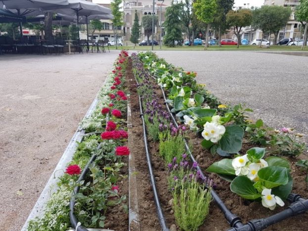 &Phi;&upsilon;&tau;&epsilon;ύ&sigma;&epsilon;&iota;&sigmaf; &kappa;&alpha;&lambda;&lambda;&omega;&pi;&iota;&sigma;&tau;&iota;&kappa;ώ&nu; &lambda;&omicron;&upsilon;&lambda;&omicron;&upsilon;&delta;&iota;ώ&nu; &kappa;&alpha;&iota; &tau;&omicron;&pi;&omicron;&theta;&epsilon;&tau;ή&sigma;&epsilon;&iota;&sigmaf; &kappa;ά&delta;&omega;&nu; &sigma;&tau;&eta;&nu; &Pi;&lambda;&alpha;&tau;&epsilon;ί&alpha; &Epsilon;&lambda;&iota;ά&sigmaf;