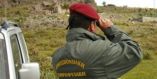 &Epsilon;&pi;&epsilon;&iota;&sigma;ό&delta;&iota;&omicron; &mu;&epsilon; &lambda;&alpha;&theta;&rho;&omicron;&kappa;&upsilon;&nu;&eta;&gamma;&omicron;ύ&sigmaf; &kappa;&alpha;&iota; &theta;&eta;&rho;&omicron;&phi;ύ&lambda;&alpha;&kappa;&epsilon;&sigmaf; &sigma;&tau;&alpha; &Kappa;&alpha;&lambda;ά&beta;&rho;&upsilon;&tau;&alpha; - &Alpha;&nu;&alpha;&zeta;&eta;&tau;&omicron;ύ&nu;&tau;&alpha;&iota; &tau;&rho;ί&alpha; ά&tau;&omicron;&mu;&alpha;