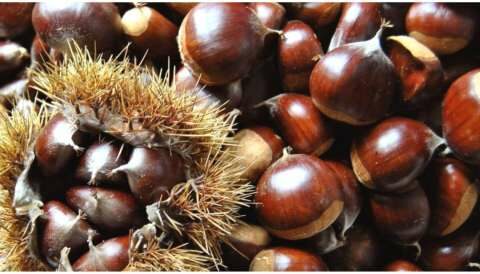 &Eta; &delta;&iota;&alpha;&tau;&rho;&omicron;&phi;&iota;&kappa;ή &alpha;&xi;ί&alpha; &tau;&omega;&nu; &kappa;ά&sigma;&tau;&alpha;&nu;&omega;&nu;, &omicron;&iota; &pi;&omicron;&iota;&kappa;&iota;&lambda;ί&epsilon;&sigmaf; &kappa;&alpha;&iota; &omicron;&iota; &tau;&rho;ό&pi;&omicron;&iota; &nu;&alpha; &tau;&alpha; &kappa;&alpha;&tau;&alpha;&nu;&alpha;&lambda;ώ&sigma;&epsilon;&tau;&epsilon;