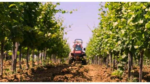 &Gamma;&epsilon;&omega;&rho;&gamma;&iota;&kappa;έ&sigmaf; &pi;&rho;&omicron;&epsilon;&iota;&delta;&omicron;&pi;&omicron;&iota;ή&sigma;&epsilon;&iota;&sigmaf; &gamma;&iota;&alpha; &tau;&eta; &Mu;&eta;&lambda;&iota;ά, &Alpha;&chi;&lambda;&alpha;&delta;&iota;ά &kappa;&alpha;&iota; &Kappa;&upsilon;&delta;&omega;&nu;&iota;ά