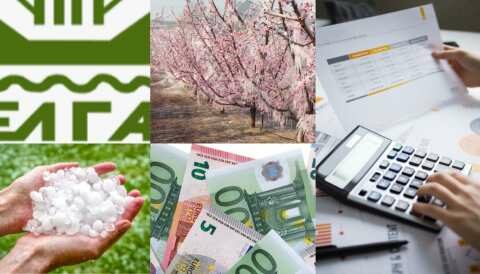 &Pi;&omega;&sigmaf; &nu;&alpha; &upsilon;&pi;&omicron;&lambda;&omicron;&gamma;ί&sigma;&epsilon;&tau;&epsilon; &tau;&omicron; &pi;&omicron;&sigma;ό &alpha;&pi;&omicron;&zeta;&eta;&mu;ί&omega;&sigma;&eta;&sigmaf; &alpha;&nu;ά &kappa;&alpha;&lambda;&lambda;&iota;έ&rho;&gamma;&epsilon;&iota;&alpha; &beta;ά&sigma;&eta; &tau;&omega;&nu; &pi;&omicron;&rho;&iota;&sigma;&mu;ά&tau;&omega;&nu; (&Pi;&Alpha;&Rho;&Alpha;&Delta;&Epsilon;&Iota;&Gamma;&Mu;&Alpha;&Tau;&Alpha;)