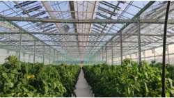 &Omicron;&iota;&kappa;&omicron;&lambda;&omicron;&gamma;&iota;&kappa;ό, &alpha;&upsilon;&tau;ό&nu;&omicron;&mu;&omicron; &kappa;&alpha;&iota; &alpha;&pi;&omicron;&delta;&omicron;&tau;&iota;&kappa;ό, &tau;&omicron; &theta;&epsilon;&rho;&mu;&omicron;&kappa;ή&pi;&iota;&omicron; &tau;&omicron;&upsilon; &mu;έ&lambda;&lambda;&omicron;&nu;&tau;&omicron;&sigmaf;