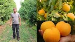 &Eta; &pi;&omicron;&iota;&kappa;&iota;&lambda;ί&alpha; &sigma;&upsilon;&mu;&pi;ύ&rho;&eta;&nu;&omega;&nu; &pi;&omicron;&upsilon; &alpha;&pi;&omicron;&delta;ί&delta;&epsilon;&iota; 5 &tau;ό&nu;&omicron;&upsilon;&sigmaf; &tau;&omicron; &sigma;&tau;&rho;έ&mu;&mu;&alpha; &kappa;&alpha;&iota; &kappa;&alpha;&lambda;&lambda;&iota;&epsilon;&rho;&gamma;&epsilon;ί &omicron; &Alpha;&gamma;&rho;ό&tau;&eta;&sigmaf; &tau;&eta;&sigmaf; &Chi;&rho;&omicron;&nu;&iota;ά&sigmaf; (&Beta;ί&nu;&tau;&epsilon;&omicron;)