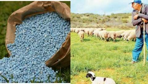 &Mu;&epsilon; &beta;ά&sigma;&eta; &tau;&alpha; &tau;&iota;&mu;&omicron;&lambda;ό&gamma;&iota;&alpha; &eta; &epsilon;&nu;ί&sigma;&chi;&upsilon;&sigma;&eta; &sigma;&tau;&alpha; &lambda;&iota;&pi;ά&sigma;&mu;&alpha;&tau;&alpha; - &Pi;&omicron;&iota;&alpha; &tau;&alpha; &kappa;&rho;&iota;&tau;ή&rho;&iota;&alpha; &gamma;&iota;&alpha; &tau;&eta;&nu; &epsilon;&nu;ί&sigma;&chi;&upsilon;&sigma;&eta; &tau;&omega;&nu; 89 &epsilon;&kappa;. &epsilon;&upsilon;&rho;ώ &sigma;&tau;&omicron;&upsilon;&sigmaf; &kappa;&tau;&eta;&nu;&omicron;&tau;&rho;ό&phi;&omicron;&upsilon;&sigmaf;