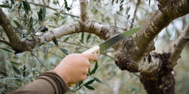 &Gamma;&epsilon;&nu;&iota;&kappa;έ&sigmaf; &alpha;&rho;&chi;έ&sigmaf; &pi;&omicron;&upsilon; &pi;&rho;έ&pi;&epsilon;&iota; &nu;&alpha; &tau;&eta;&rho;&omicron;ύ&nu;&tau;&alpha;&iota; &kappa;&alpha;&tau;ά &tau;&omicron; &kappa;&lambda;ά&delta;&epsilon;&micro;&alpha; &tau;&eta;&sigmaf; &Epsilon;&lambda;&iota;ά&sigmaf;