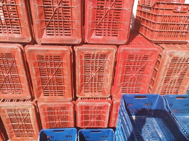 &Pi;&rho;&omicron;&sigma;&omicron;&chi;ή: &Kappa;&lambda;έ&beta;&omicron;&upsilon;&nu; &kappa;&epsilon;&nu;έ&sigmaf; &kappa;&lambda;&omicron;ύ&beta;&epsilon;&sigmaf; - Έ&kappa;&pi;&lambda;&eta;&kappa;&tau;&omicron;&sigmaf; &pi;&alpha;&rho;&alpha;&gamma;&omega;&gamma;ό&sigmaf; &alpha;&pi;ό &Eta;&mu;&alpha;&theta;ί&alpha; &epsilon;ί&delta;&epsilon; 100 &kappa;&lambda;&omicron;ύ&beta;&epsilon;&sigmaf; &nu;&alpha; &gamma;ί&nu;&omicron;&nu;&tau;&alpha;&iota; "&kappa;&alpha;&pi;&nu;ό&sigmaf;"