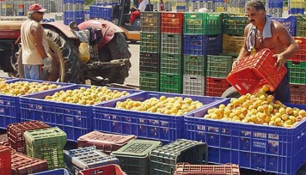 &Epsilon;&kappa;&tau;ί&mu;&eta;&sigma;&eta; &gamma;&iota;&alpha; &tau;&eta;&nu; &delta;&iota;&alpha;&mu;ό&rho;&phi;&omega;&sigma;&eta; &tau;&omega;&nu; &tau;&iota;&mu;ώ&nu; &sigma;&tau;&omicron; &sigma;&upsilon;&mu;&pi;ύ&rho;&eta;&nu;&omicron; &rho;&omicron;&delta;ά&kappa;&iota;&nu;&omicron; &alpha;&pi;ό &tau;&omicron;&nu; &pi;&rho;ό&epsilon;&delta;&rho;&omicron; &tau;&eta;&sigmaf; &Epsilon;&Kappa;&Epsilon;