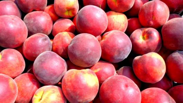 &Gamma;&epsilon;&omega;&rho;&gamma;&iota;&kappa;έ&sigmaf; &pi;&rho;&omicron;&epsilon;&iota;&delta;&omicron;&pi;&omicron;&iota;ή&sigma;&epsilon;&iota;&sigmaf; &gamma;&iota;&alpha; &tau;&eta; &Rho;&omicron;&delta;&alpha;&kappa;&iota;&nu;&iota;ά