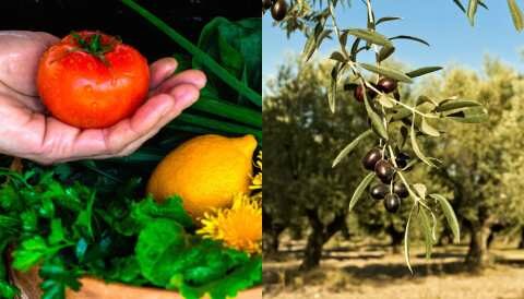 21 &nu;έ&alpha; έ&rho;&gamma;&alpha; &Kappa;&alpha;&iota;&nu;&omicron;&tau;&omicron;&mu;ί&alpha;&sigmaf; &epsilon;&nu;&tau;ά&sigma;&sigma;&omicron;&nu;&tau;&alpha;&iota; &sigma;&tau;&omicron; &Pi;&rho;ό&gamma;&rho;&alpha;&mu;&mu;&alpha; &Alpha;&gamma;&rho;&omicron;&tau;&iota;&kappa;ή&sigmaf; &Alpha;&nu;ά&pi;&tau;&upsilon;&xi;&eta;&sigmaf; (2014-2020) &mu;&epsilon; &alpha;&pi;ό&phi;&alpha;&sigma;&eta; &tau;&omicron;&upsilon; &Pi;&epsilon;&rho;&iota;&phi;&epsilon;&rho;&epsilon;&iota;ά&rho;&chi;&eta; &Kappa;&rho;ή&tau;&eta;&sigmaf;