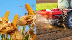 &Alpha;&upsilon;&gamma;&epsilon;&nu;ά&kappa;&eta;&sigmaf;: &Eta; &kappa;&upsilon;&beta;έ&rho;&nu;&eta;&sigma;&eta; έ&chi;&epsilon;&iota; &lambda;ά&beta;&epsilon;&iota; &mu;έ&tau;&rho;&alpha; &gamma;&iota;&alpha; &tau;&eta; &mu;&epsilon;ί&omega;&sigma;&eta; &tau;&omicron;&upsilon; &kappa;ό&sigma;&tau;&omicron;&upsilon;&sigmaf; &pi;&alpha;&rho;&alpha;&gamma;&omega;&gamma;ή&sigmaf; &sigma;&tau;&omicron;&nu; &pi;&rho;&omega;&tau;&omicron;&gamma;&epsilon;&nu;ή &tau;&omicron;&mu;έ&alpha;