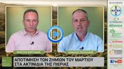 &Delta;&epsilon;ί&tau;&epsilon; LIVE &tau;&eta;&nu; &epsilon;&kappa;&pi;&omicron;&mu;&pi;ή "&Epsilon;&Lambda;&Lambda;&Eta;&Nu;&Iota;&Kappa;&Eta; &Pi;&Alpha;&Rho;&Alpha;&Gamma;&Omega;&Gamma;&Eta;" -  Ό&sigma;&alpha; &theta;&alpha; &theta;έ&lambda;&alpha;&tau;&epsilon; &nu;&alpha; &mu;ά&theta;&epsilon;&tau;&epsilon; &gamma;&iota;&alpha; &tau;&omicron; &epsilon;&lambda;&lambda;&eta;&nu;&iota;&kappa;ό &alpha;&kappa;&tau;&iota;&nu;ί&delta;&iota;&omicron;