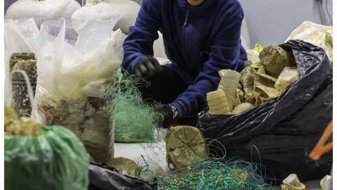 &Eta; OCEANZYME &delta;&iota;&epsilon;&rho;&epsilon;&upsilon;&nu;ά &nu;έ&epsilon;&sigmaf; &epsilon;&nu;&zeta;&upsilon;&mu;&alpha;&tau;&iota;&kappa;έ&sigmaf; &lambda;ύ&sigma;&epsilon;&iota;&sigmaf; &alpha;&nu;&alpha;&kappa;ύ&kappa;&lambda;&omega;&sigma;&eta;&sigmaf; &gamma;&iota;&alpha; &theta;&alpha;&lambda;ά&sigma;&sigma;&iota;&alpha; &alpha;&pi;&omicron;&rho;&rho;ί&mu;&mu;&alpha;&tau;&alpha;