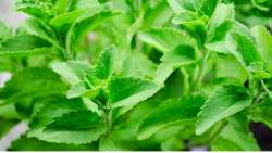 &Kappa;&alpha;&lambda;&lambda;&iota;έ&rho;&gamma;&epsilon;&iota;&alpha; &Sigma;&tau;έ&beta;&iota;&alpha;&sigmaf; - &Mu;&iota;&alpha; &omicron;&iota;&kappa;&omicron;&nu;&omicron;&mu;&iota;&kappa;ά &sigma;&upsilon;&mu;&phi;έ&rho;&omicron;&upsilon;&sigma;&alpha; &epsilon;&pi;&epsilon;&nu;&delta;&upsilon;&tau;&iota;&kappa;ή &epsilon;&pi;&iota;&lambda;&omicron;&gamma;ή - &Epsilon;&upsilon;&epsilon;&rho;&gamma;&epsilon;&tau;&iota;&kappa;έ&sigmaf; &iota;&delta;&iota;ό&tau;&eta;&tau;&epsilon;&sigmaf; &kappa;&alpha;&iota; &chi;&rho;ή&sigma;&epsilon;&iota;&sigmaf; &tau;&eta;&sigmaf;