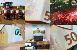 &Kappa;&alpha;&tau;&alpha;&sigma;&tau;&rho;&omicron;&phi;&iota;&kappa;έ&sigmaf; &zeta;&eta;&mu;&iota;έ&sigmaf; &sigma;&tau;&iota;&sigmaf; &kappa;&alpha;&lambda;&lambda;&iota;έ&rho;&gamma;&epsilon;&iota;&epsilon;&sigmaf;: &Pi;ό&tau;&epsilon; &alpha;&nu;&alpha;&mu;έ&nu;&omicron;&nu;&tau;&alpha;&iota; &omicron;&iota; &pi;&lambda;&eta;&rho;&omega;&mu;έ&sigmaf;; (&Beta;&Iota;&Nu;&Tau;&Epsilon;&Omicron;)