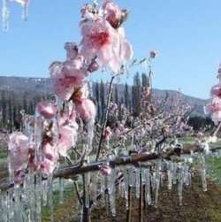 &Gamma;. &Kappa;&alpha;&rho;&alpha;&sigma;&mu;ά&nu;&eta;&sigmaf; : &Epsilon;&kappa;&delta;ό&theta;&eta;&kappa;&epsilon; &eta; &Kappa;&Upsilon;&Alpha; &gamma;&iota;&alpha; &alpha;&pi;&omicron;&zeta;&eta;&mu;&iota;ώ&sigma;&epsilon;&iota;&sigmaf; &sigma;&tau;&omicron; &pi;&rho;&omicron;&alpha;&nu;&theta;&iota;&kappa;ό &sigma;&tau;ά&delta;&iota;&omicron;