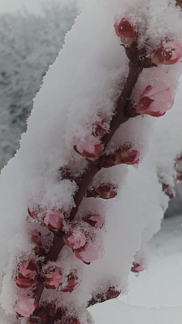 &Tau;&eta;&nu; &epsilon;&pi;ό&mu;&epsilon;&nu;&eta; &epsilon;&beta;&delta;&omicron;&mu;ά&delta;&alpha; &xi;&epsilon;&kappa;&iota;&nu;ά &omicron; &Epsilon;&Lambda;&Gamma;&Alpha; &tau;&eta;&nu; &kappa;&alpha;&tau;&alpha;&gamma;&rho;&alpha;&phi;ή &tau;&omega;&nu; &zeta;&eta;&mu;&iota;ώ&nu; &pi;&omicron;&upsilon; ά&phi;&eta;&sigma;&epsilon; &pi;ί&sigma;&omega; &tau;&eta;&sigmaf; &eta; &laquo;&Mu;ή&delta;&epsilon;&iota;&alpha;&raquo;