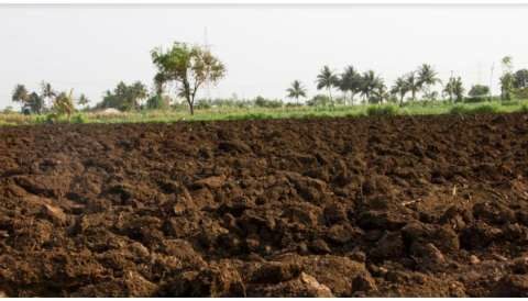 O&rho;&gamma;&alpha;&nu;&iota;&kappa;ή &omicron;&upsilon;&sigma;ί&alpha;: &Tau;&iota; &epsilon;ί&nu;&alpha;&iota; &kappa;&alpha;&iota; &tau;&iota; &pi;&rho;&omicron;&sigma;&phi;έ&rho;&epsilon;&iota; &sigma;&tau;&iota;&sigmaf; &kappa;&alpha;&lambda;&lambda;&iota;έ&rho;&gamma;&epsilon;&iota;&epsilon;&sigmaf;;
